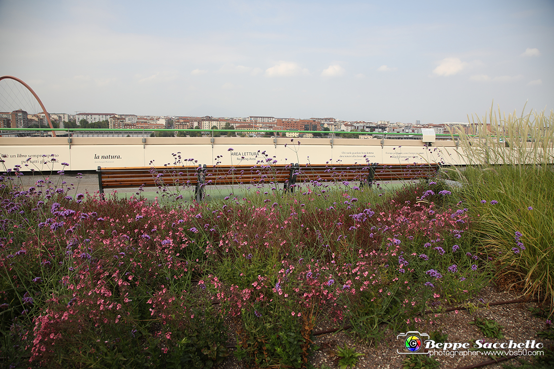 VBS_9791 - Parco Pensile Lingotto.jpg
